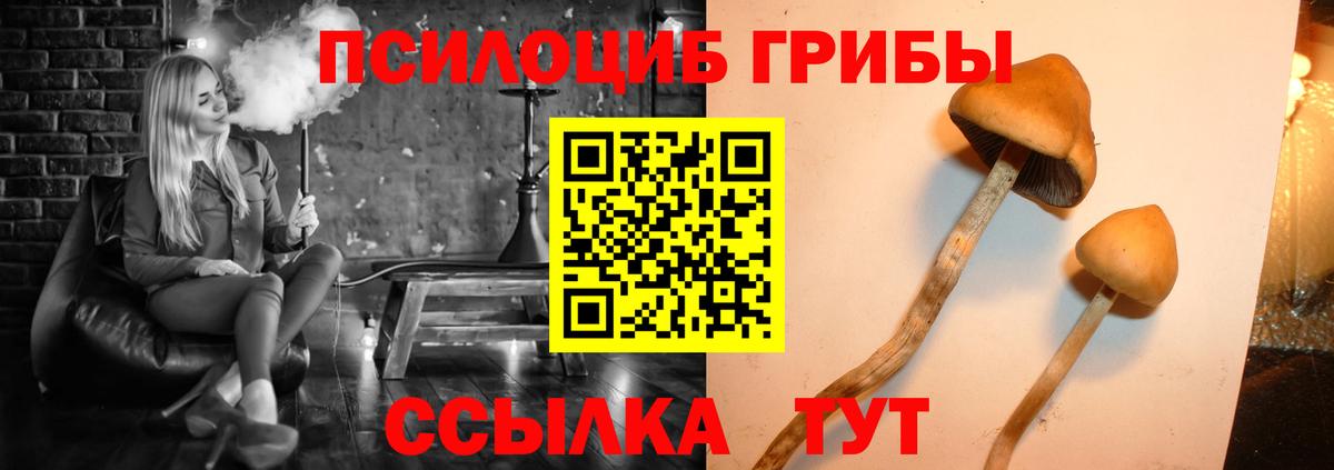Керчь  Галлюциногенные грибы GOLDEN TEACHER  Вход с VPN 